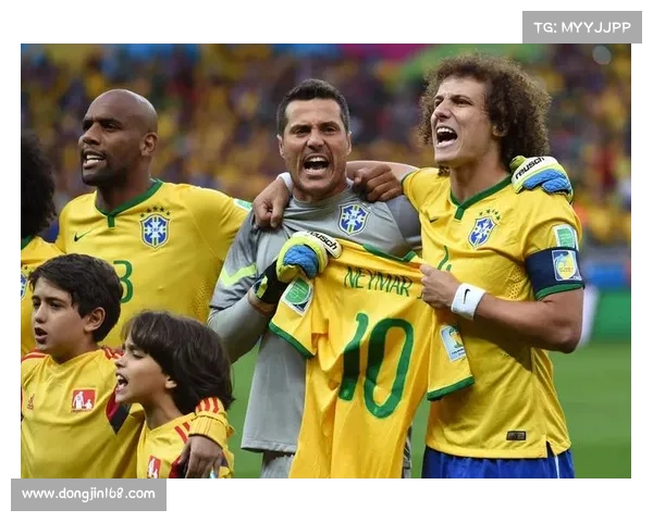 伊布谈职业生涯未夺欧冠无憾支持巴西队冲击世界杯冠军